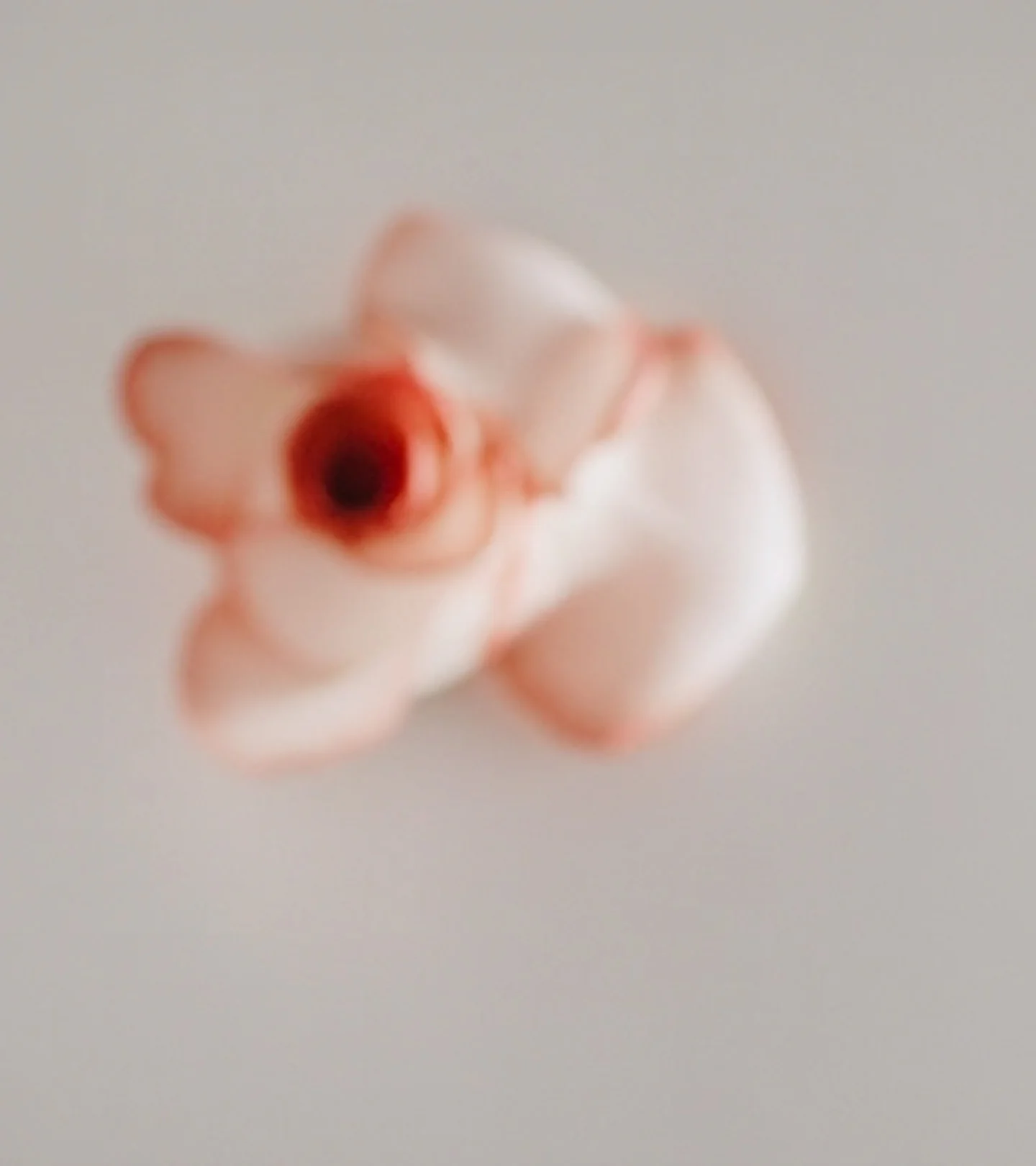 Apothecary Wild Rose Tagescreme - Image 6
