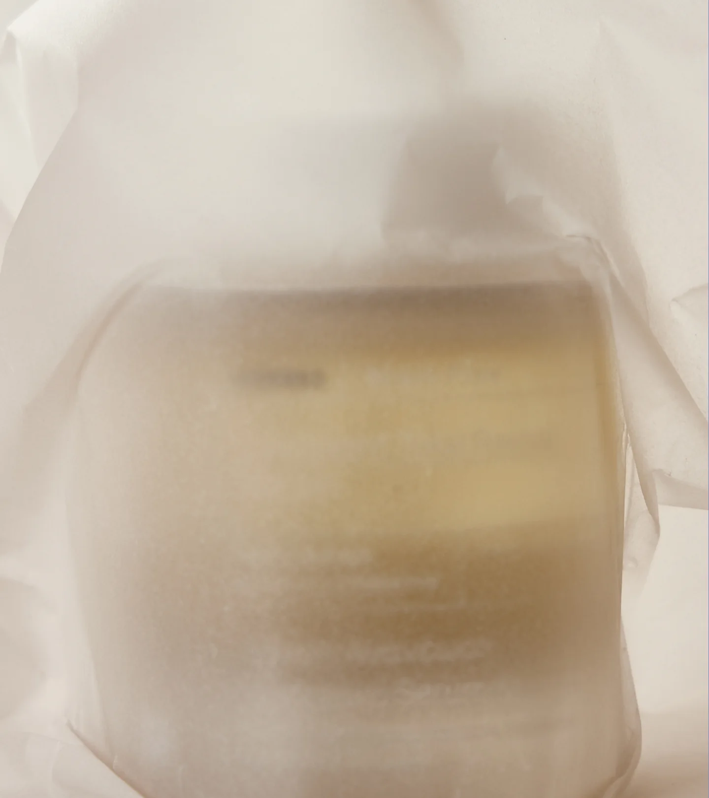 Black Pine Nachtserum - Image 5