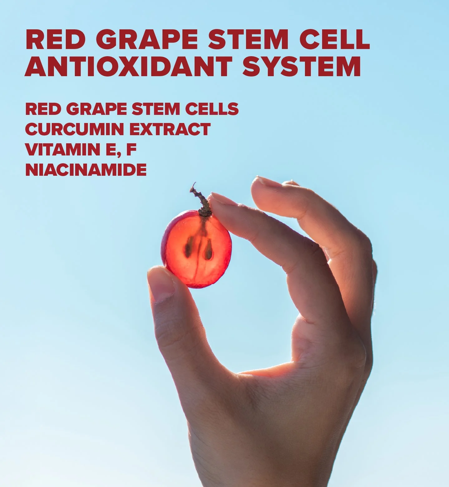 Red Grape Getönte Sonnencreme fürs Gesicht SPF50 Anti-Aging + Anti-Dark-Spot - Image 5