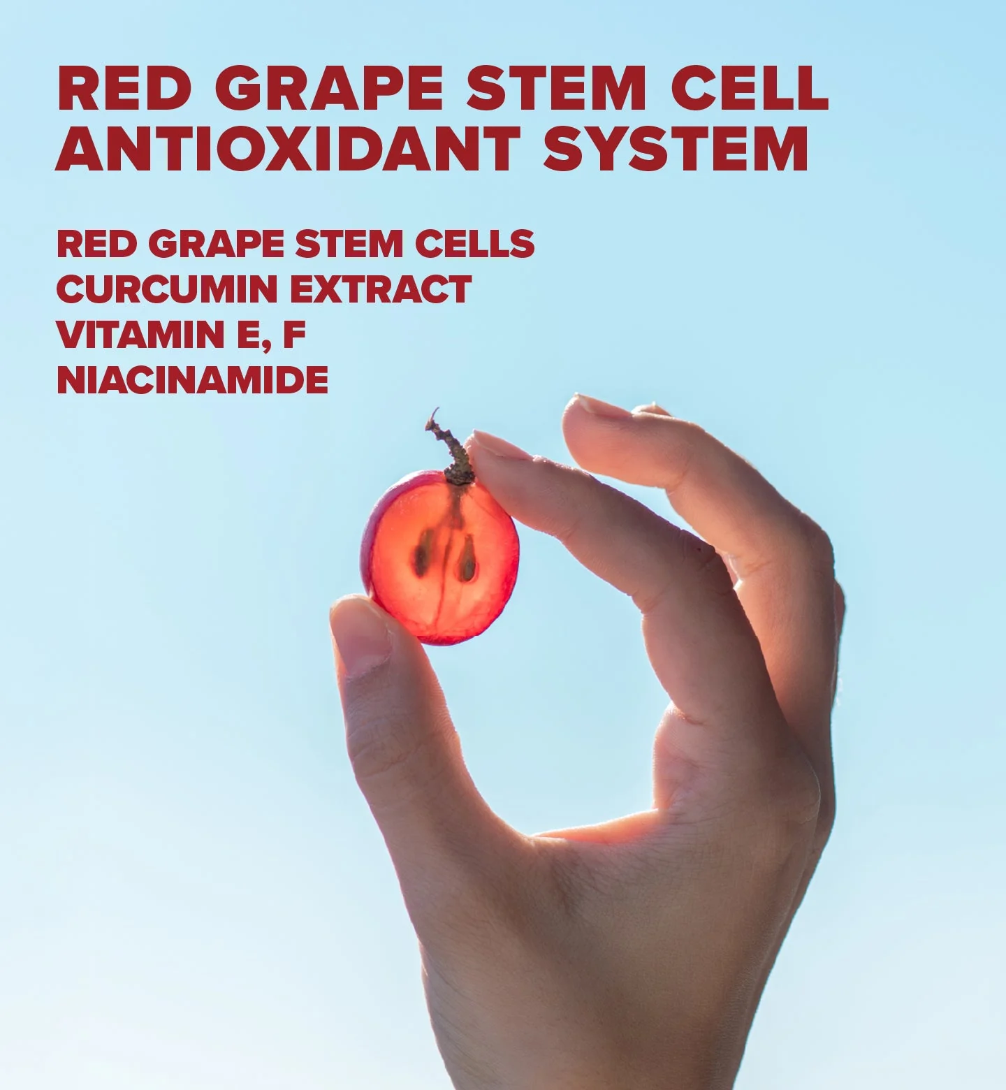 Red Grape Sonnencreme fürs Gesicht SPF50 Anti-Aging + Anti-Dark-Spot - Image 5